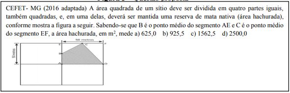 A figura e sua influência nas estratégias de resolução de uma situação  problema de Geometria plana