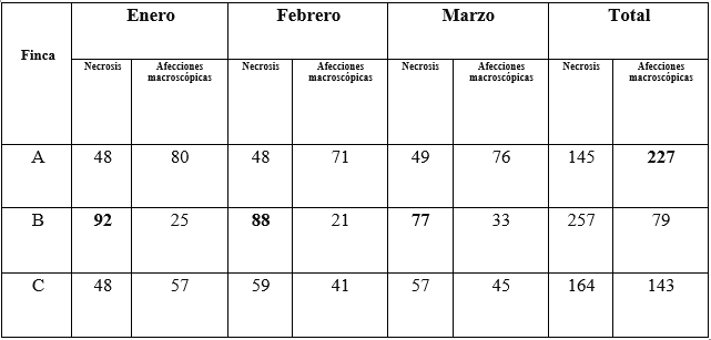 Atarraya de muestreo