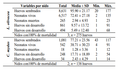 Estadística descriptiva del éxito de eclosión de la tortuga lora (Lepidochelys olivacea) y verde (Chelonia mydas) durante la temporada junio 2021 a enero 2022 en Playa Lagarto, Los Santos, Panamá.
