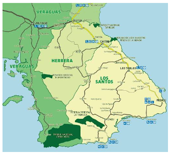 Inventario de helechos en comunidades aledañas ala reserva forestal La