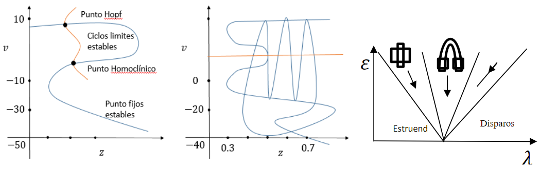 Figura 1.
Bifurcaciones del tipo “Square Wave Bursting” puede generar caos