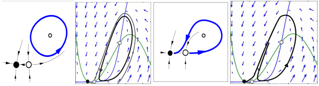 Figura 2.
Bifurcación homoclínica con equilibrio Silla-nodo puede generar ciclos
inestables