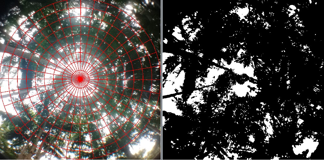 Imagem trabalhada no software GAP
Light Analyzer referente ao P1, dentro do parque
