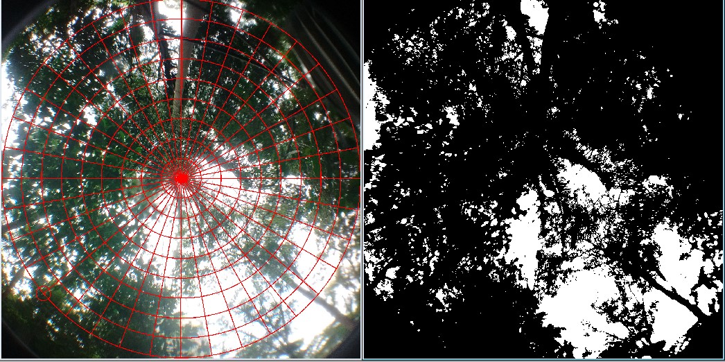 Imagem trabalhada no software GAP
Light Analyzer referente ao P2, dentro do parque