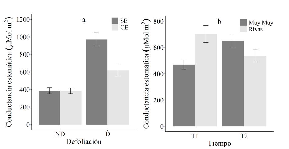 Conductancia
estomática (μMol m2) de C. mucunoides en función de la defoliación y el régimen hídrico (a) y en
función del tiempo y la procedencia (b).
