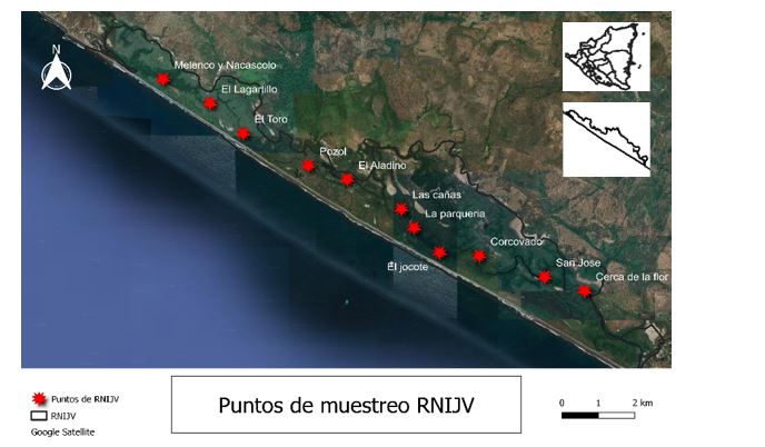 
Mapa de la Reserva Natural Isla Juan Venado (RNIJV). Los puntos rojos  

señalan
los 11 puntos muestreados a lo largo de la isla.  Autor: Carlos Solís (2022).