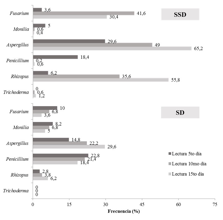 Frecuencia relativa (%) de aparición por género fúngico en
semillas de moringa,  

sin desinfectar (SSD) y desinfectadas (SD).