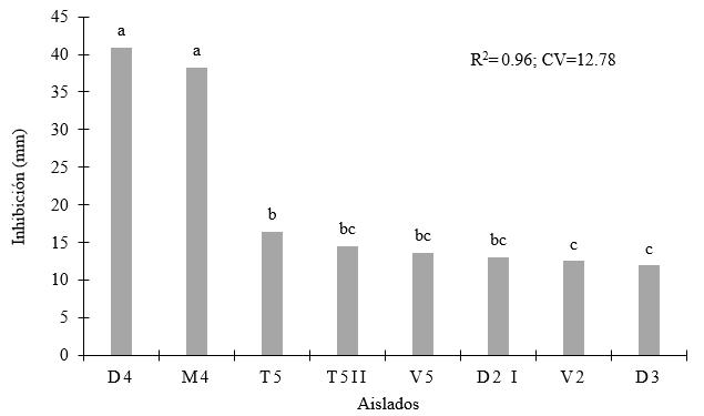 Sensibilidad de B. gladiolii y B. plantarii
al ácido oxolínico.