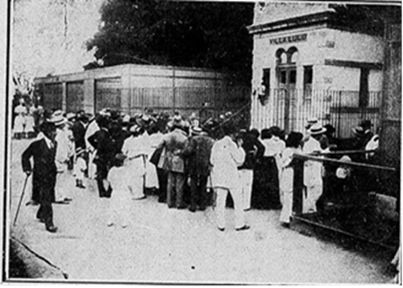 Público diante da jaula do chipanzé Lulu, Jardim
Zoológico.