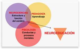 Es bueno saber aprender. TÉCNICAS DE ESTUDIO para adolescentes desde la  NEUROEDUCACIÓN Volumen I - Ediciones Pirámide