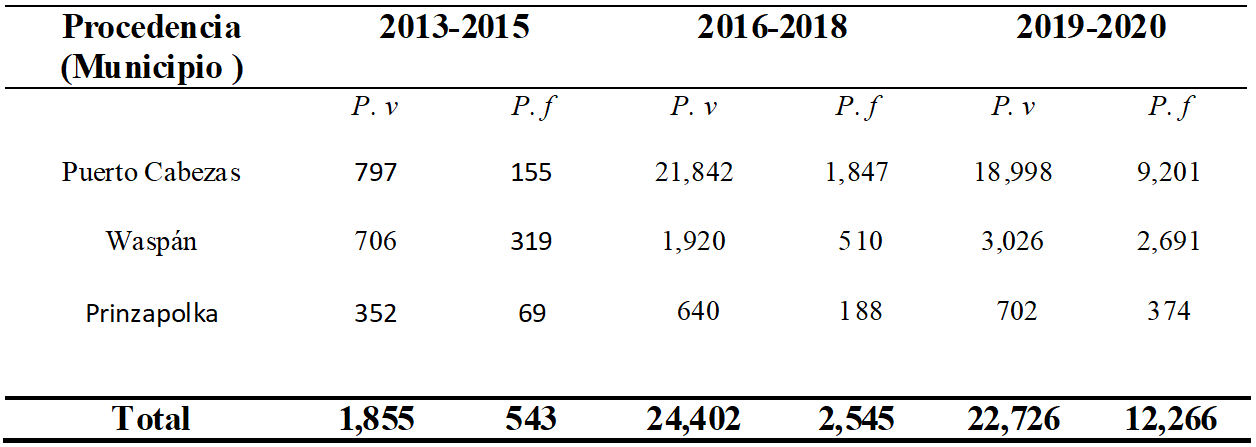 Distribución
de P.vivax y P.falciparum por municipio SILAIS Bilwi 2013-2020