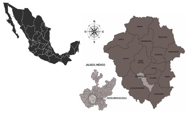 Localización Geográfica Municipal de El Grullo, Jalisco.