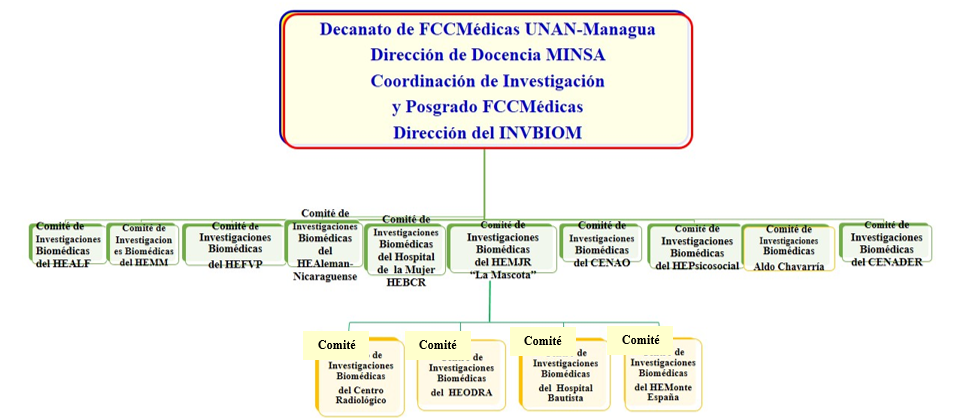 Organización de los
Comités de Investigaciones Biomédicas.