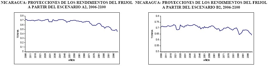 Proyecciones de los rendimientos del frijol en escenarios A2 y B2, desde el
2006 al   2100.