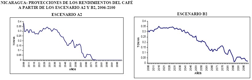 Proyecciones de los rendimientos del café en escenarios A2 y B2, desde el
2006 al   2100.