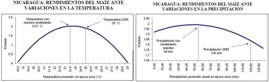Rendimiento del maíz ante
variaciones de temperatura y precipitación.