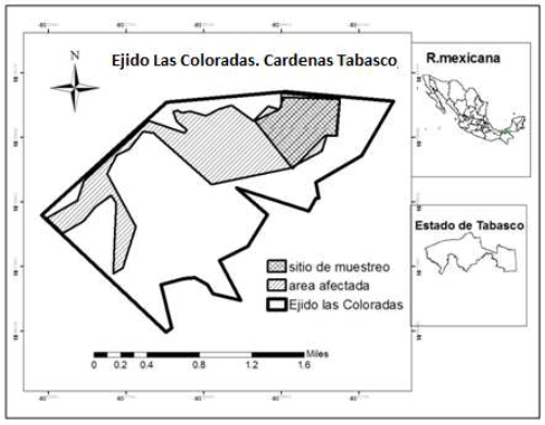 Ubicación geográfica del Ejido Las Coloradas,
Cárdenas, Tabasco, México