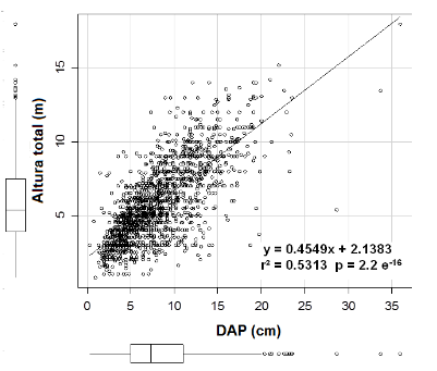 Correlación entre el diámetro a la altura de pecho
(DAP cm) y la altura (m) del total de los árboles de mangle negro registrados.  

 