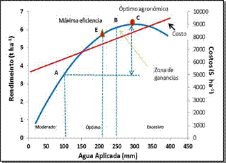 Relación entre rendimiento, el costo total y agua
aplicada en el maíz.