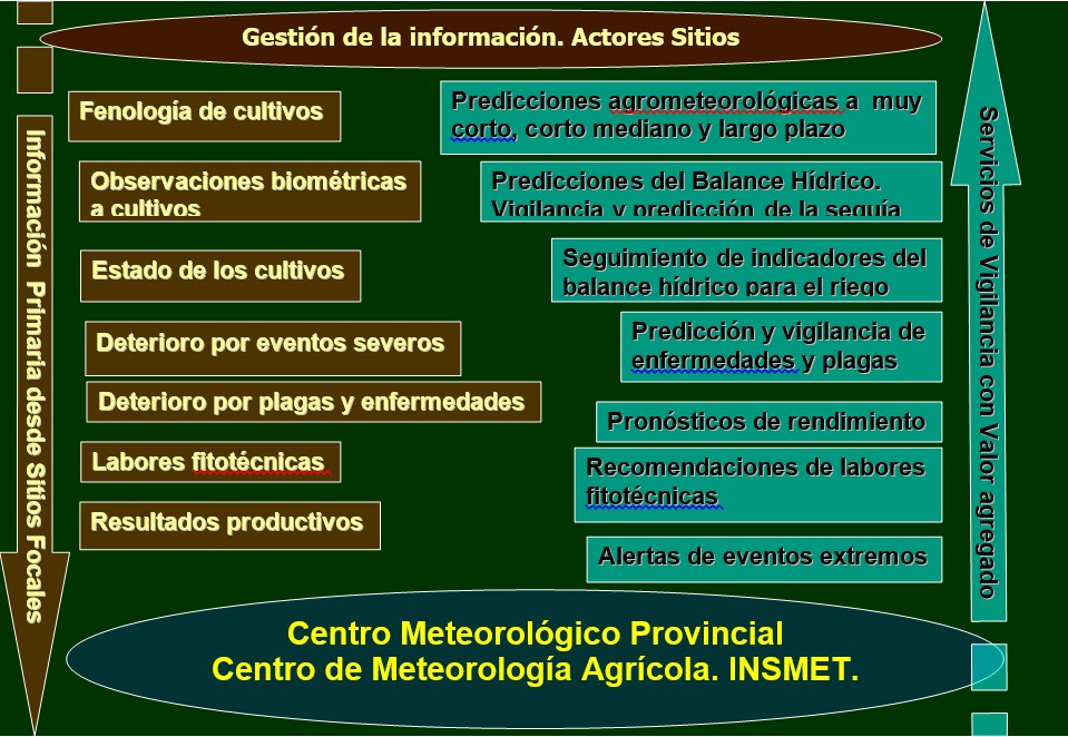 Flujo de información entre los agrometeorólogos y el productor agrícola