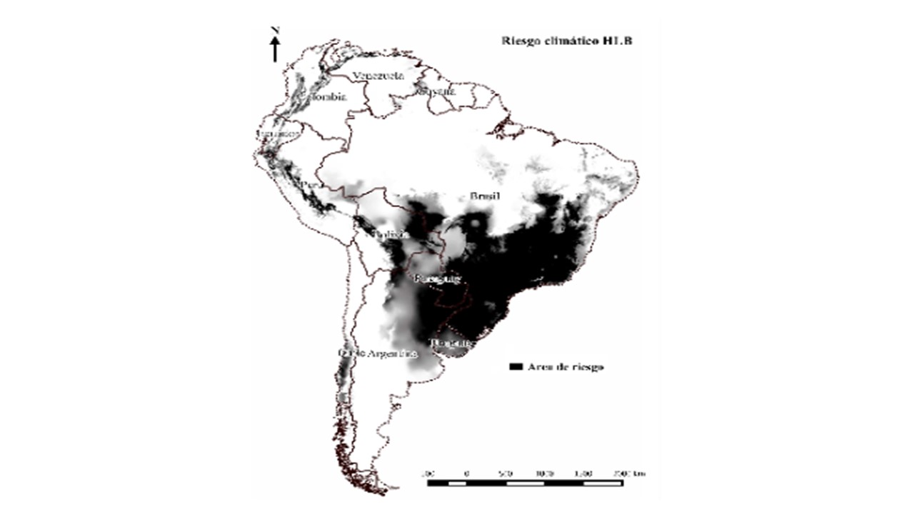 Mapa de probabilidad de establecimiento de HLB en Sudamérica, en comparación al
riesgo climático observado en San Pablo (Brasil).