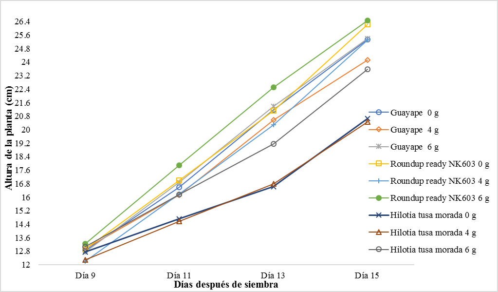 Cinética
de crecimiento del maíz según las variedades y nivel de fertilización utilizado