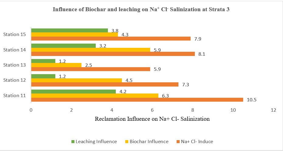Influence of Biochar and leaching on Na+ Cl-
Salinization at Strata 3