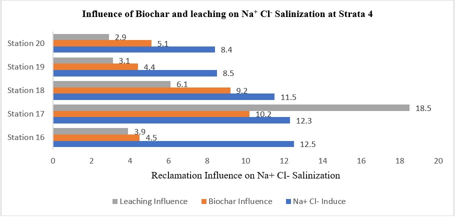  Influence of Biochar and leaching on Na+ Cl-
Salinization at Strata 4