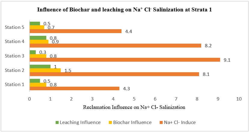 Influence of Biochar and leaching on Na+ Cl-
Salinization at Strata 1
