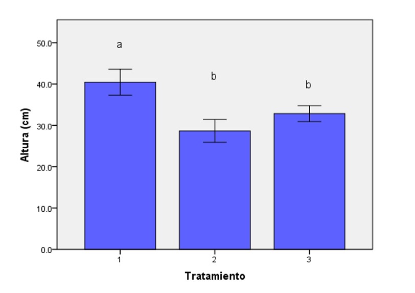 Efecto de los
tratamientos sobre la altura promedio de las plantas (cm). (T1: arreglo
tresbolillo, T2: arreglo cuadrado, T3: arreglo lineal).