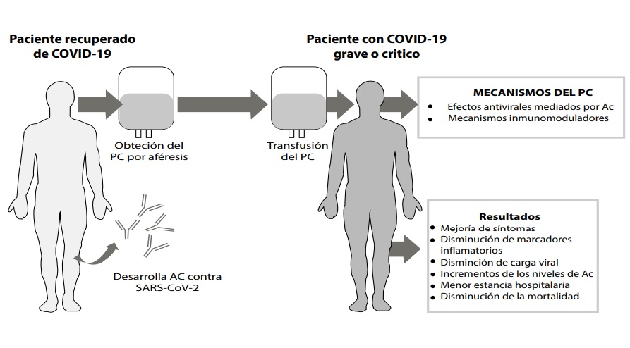 Fundamentos y resultados del plasma convaleciente en pacientes con
COVID-19 