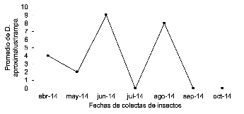  Fluctuación
poblacional de Dendroctonus aproximatus
en finca Los Pinares, Yucul, San Ramón, Matagalpa,
2014