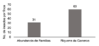 Abundancia y riqueza
de insectos asociados a los pinos en finca Los Pinares, Yucul,
San Ramón, Matagalpa, 2014