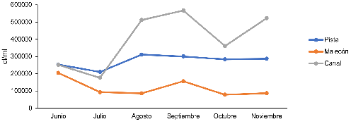 Concentración de microalgas en cada punto de muestreo junionoviembre 2019 en el Lago de Apanás Jinotega