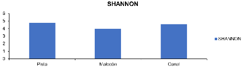 Resultados del Índice de diversidad de Shannon–Wiener