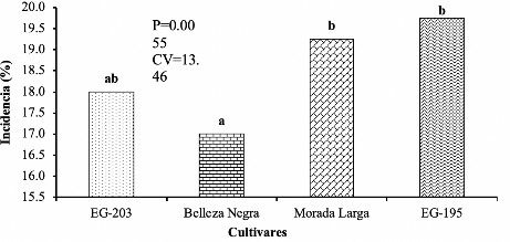 Porcentaje de incidencia de la marchitez bacteriana en los cuatro cultivares de berenjena, a los 4, 7, 9, 13 y 17 ddi