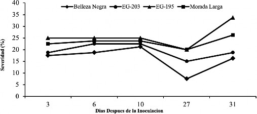 Comportamiento de marchitez bacteriana (Ralstonia solanacearum) a los 3, 6, 10, 27 y 31 ddi