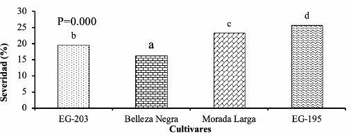 Porcentaje de severidad de marchitez bacteriana (Ralstonia solanacearum) en cultivares de berenjena