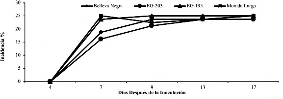Comportamiento de marchitez bacteriana (Ralstonia solanacearum) a los 4, 7, 9, 13 y 17 ddi