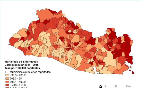  Distribución espacial de mortalidad de enfermedades no transmisibles