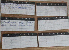 Cartelas
do Jogo de bingo adaptadas, respondidas pelos alunos do ensino médio