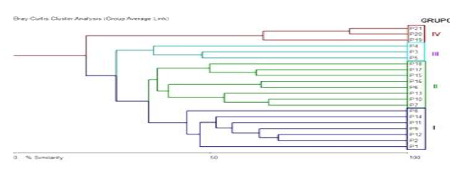 Dendrograma de similaridad florística obtenido por el análisis de conglomerados mediante la medida de similitud de Bray Curtis.