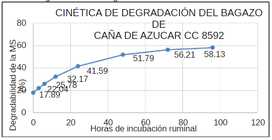 Cinética de degradación del bagazo de caña de azúcar
variedad CC 8592