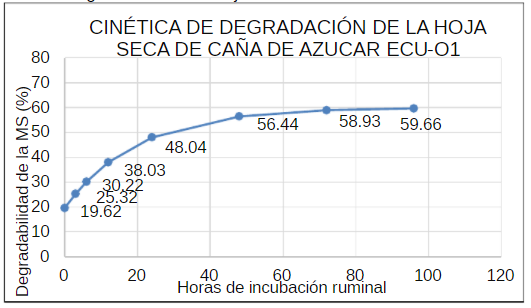 Cinética de degradación de la hoja seca de caña de azúcar variedad ECU-01