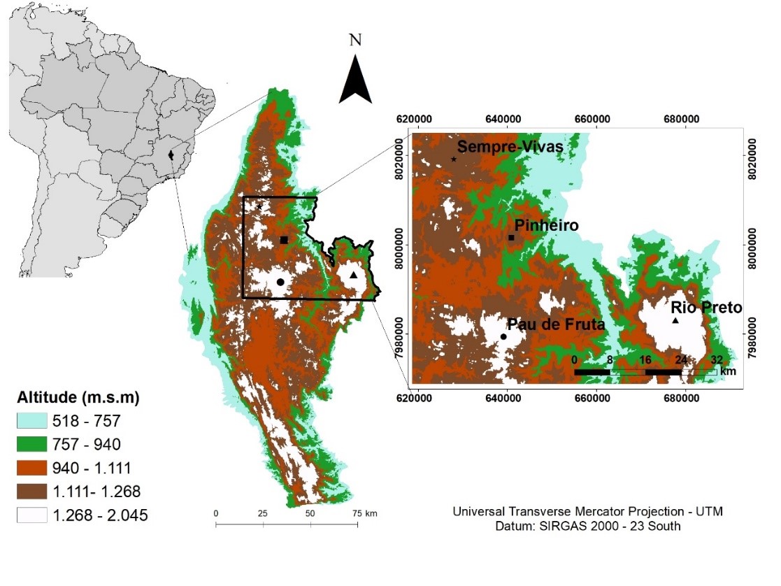 Cenários do passado: reconstituição milenar da vegetação de Cerrado com  base em grãos de pólen e outros microfósseis em turfeiras da Serra do  Espinhaço Meridional