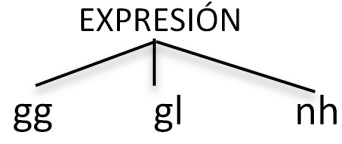 Representación
arbórea del campo semántico expresión
