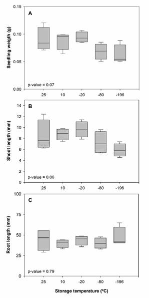  Total weight (A), shoot length (B) and root length (C) of Bowdichia virgilioides
seedlings germinated from seeds stored for 32 weeks at contrasting
temperatures. The two extreme lines of the boxplot (whiskers) show the 10 and
90% percentiles; the two bounds of the box, the 25 and 75% percentiles, and the
center thick line, the median. Means (n = 4) were similar between
storage temperatures according to Kruskal-Wallis test at the 95% confidence
level