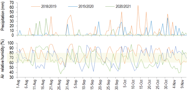 Pluvial precipitation and mean air relative humidity from August 1 to November
15 in 3 crop seasons, Chapecó, Brazil. Data from the automatic weather station 1041 – Epagri (Chapecó, 27,09°S/52,64°W, 687 m of
elevation)(16)