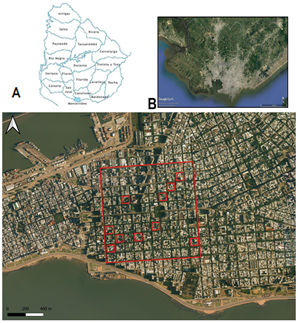 Map
of Uruguay (A); Montevideo aerial view (B), and location of the area under
study where the blocks analyzed are indicated (C)