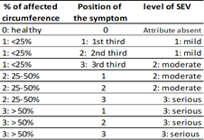 Severity (SEV) levels to evaluate symptoms